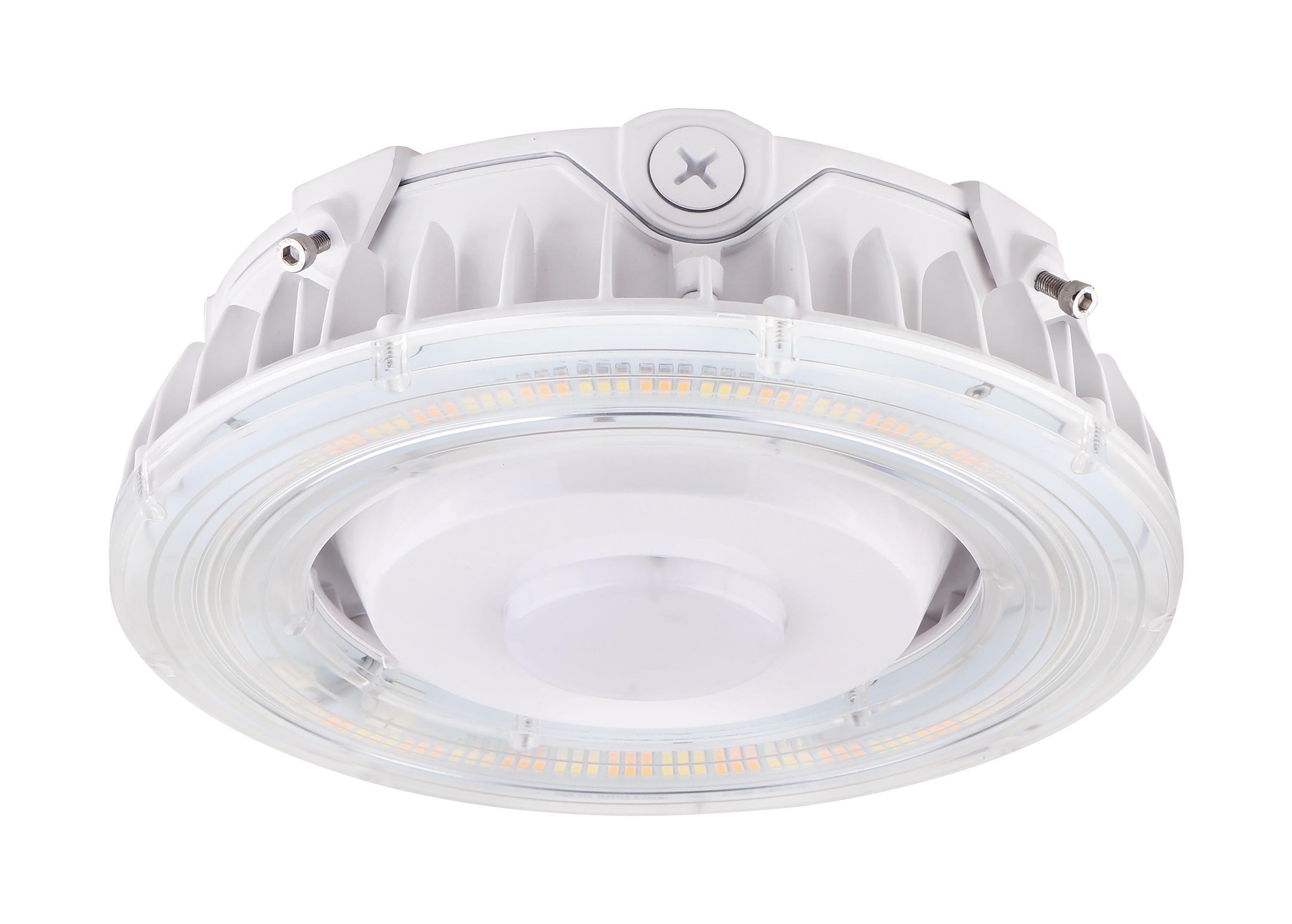 Picture of 65-625 - LED Canopy Fixture, 40 Watt, CCT Selectable, White Finish, 100-277 Volt