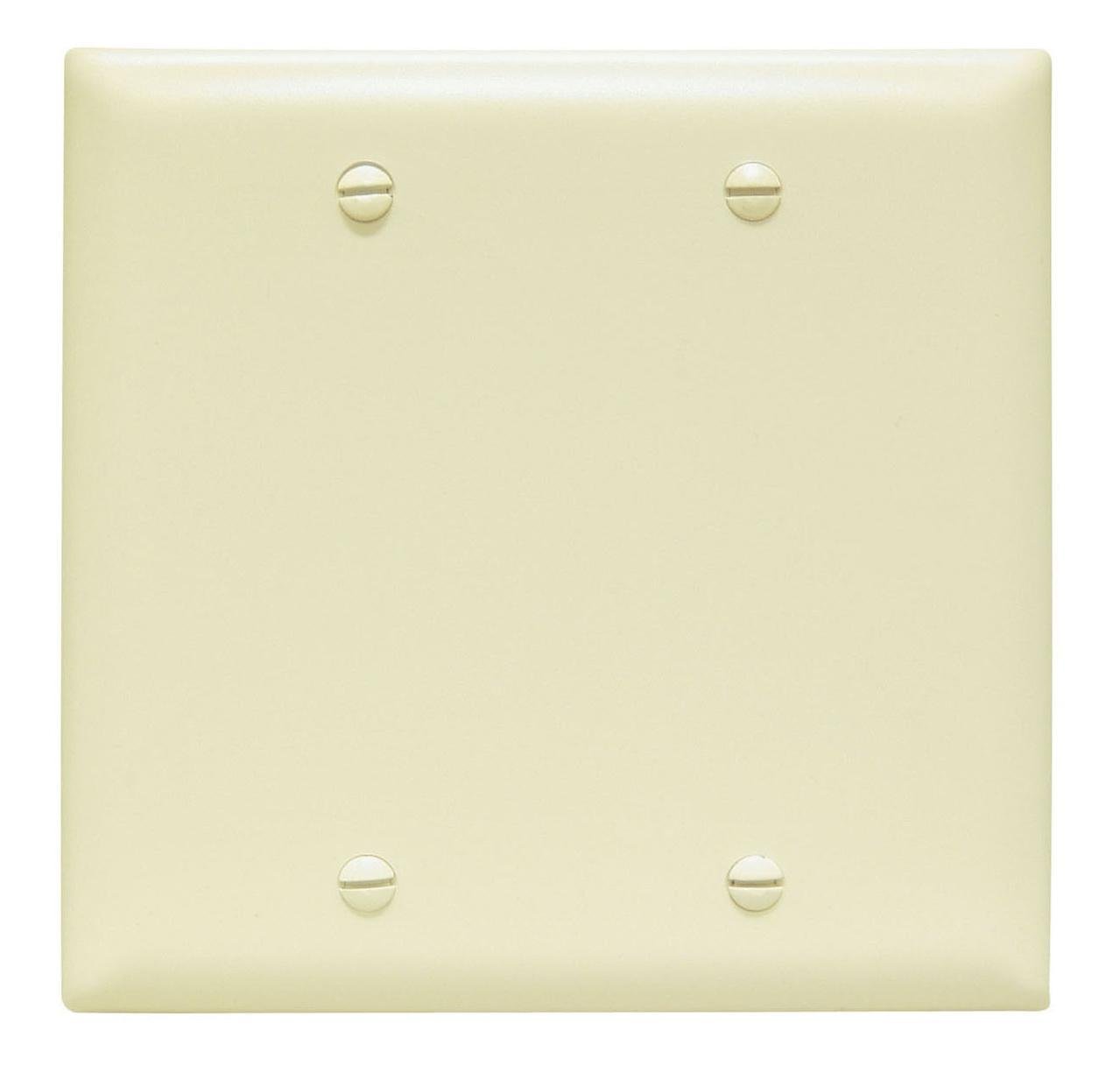 TP23-I - TradeMaster® 2-Gang Nylon Wall Plate, Blank, Box Mounted, Ivory