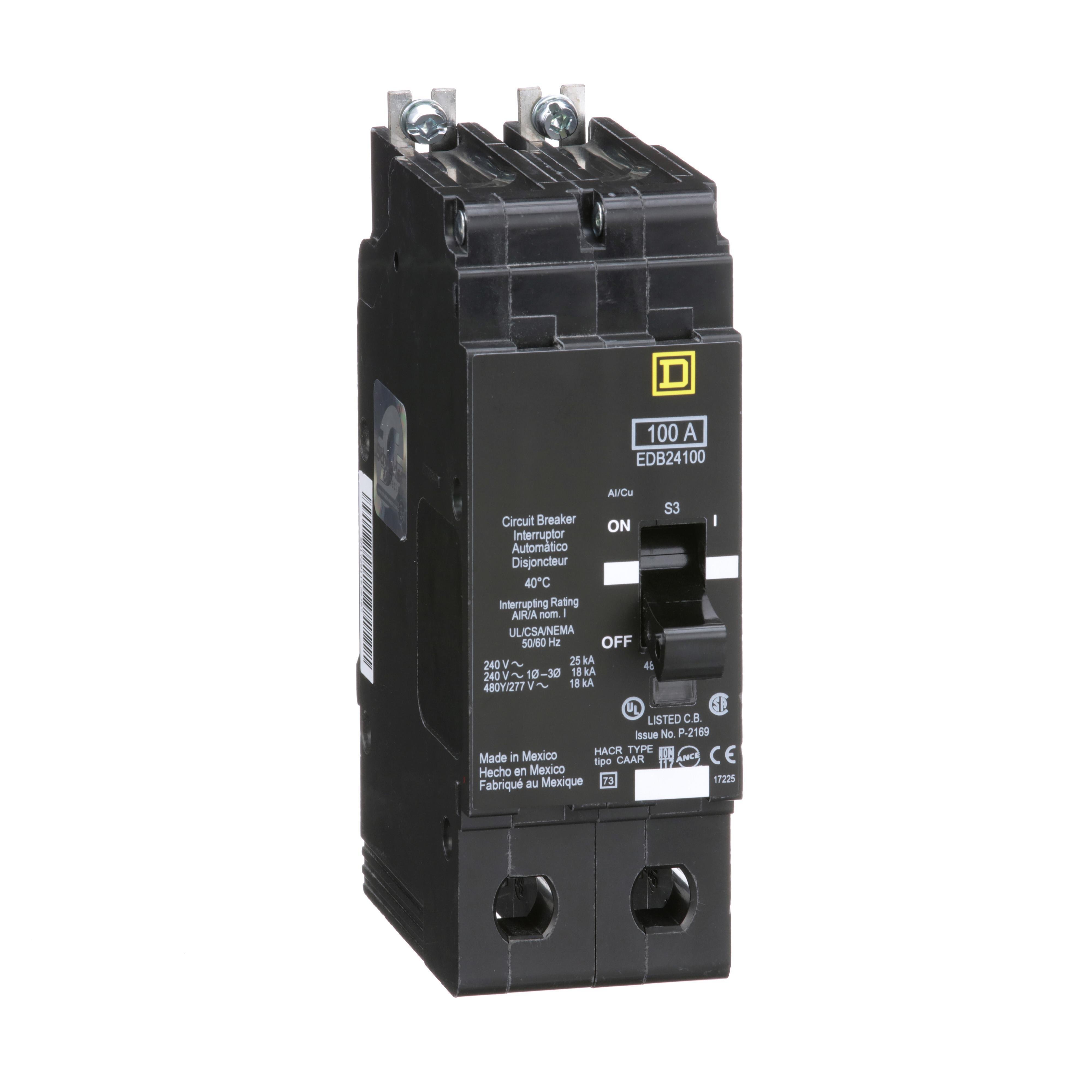 EDB24100 - [TAA] Mini circuit breaker, E-Frame, 100A, 2 pole, 480Y/277VAC, 25kA max, bolt on