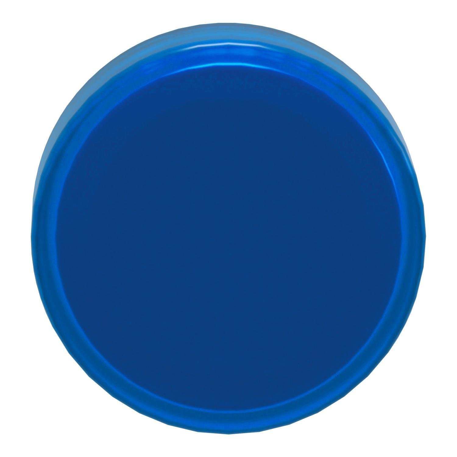 ZB4BV063 - Head for pilot light, Harmony XB4, metal, blue, 22mm, universal LED, plain lens