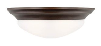 75435-710 - Generation Lighting 75435-710 Nash Two - Light Ceiling Flush Mount Ceiling Fixture, Bronze