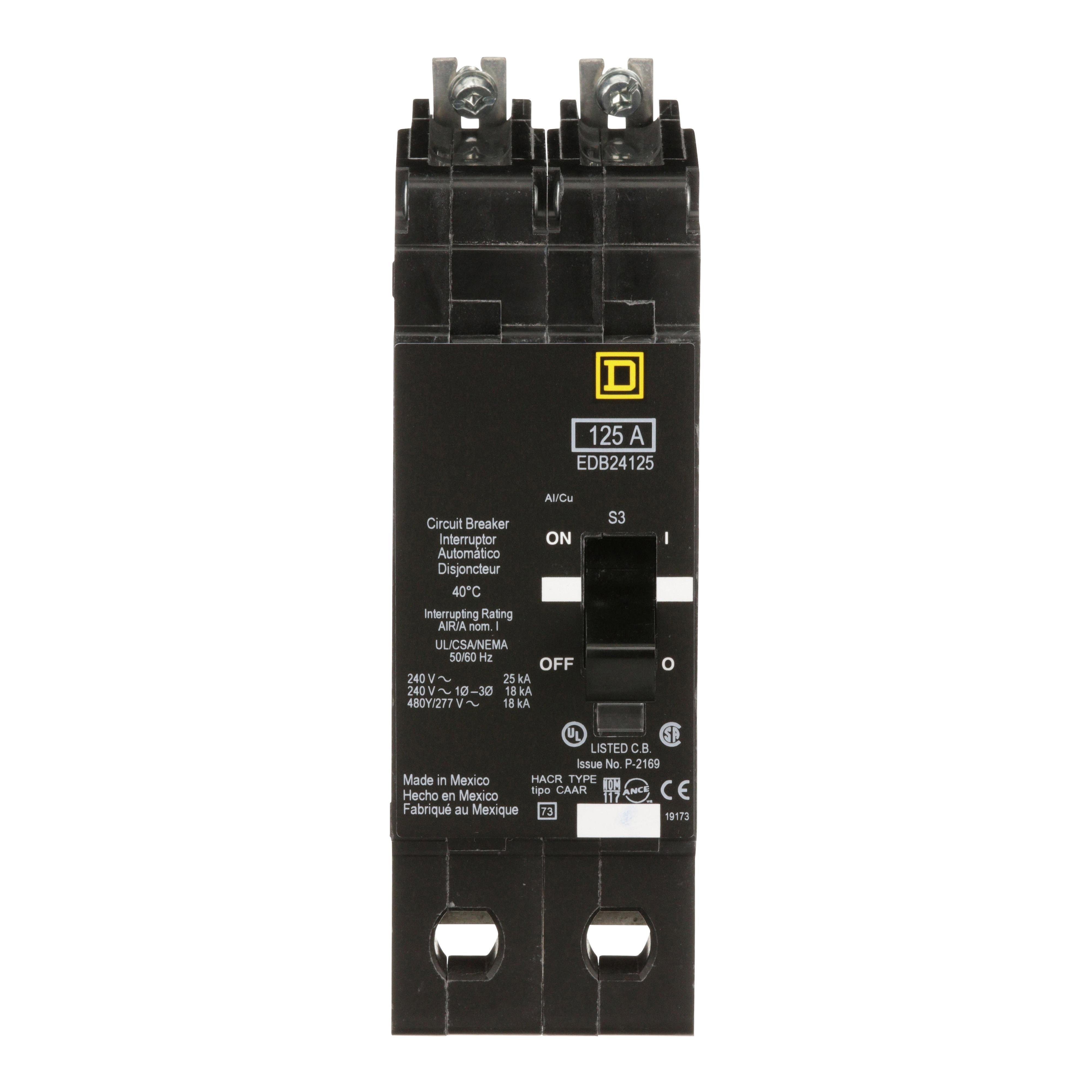 Picture of EDB24125 - Mini circuit breaker, E-Frame, 125A, 2 pole, 480Y/277VAC, 25kA max, bolt on [TAA]