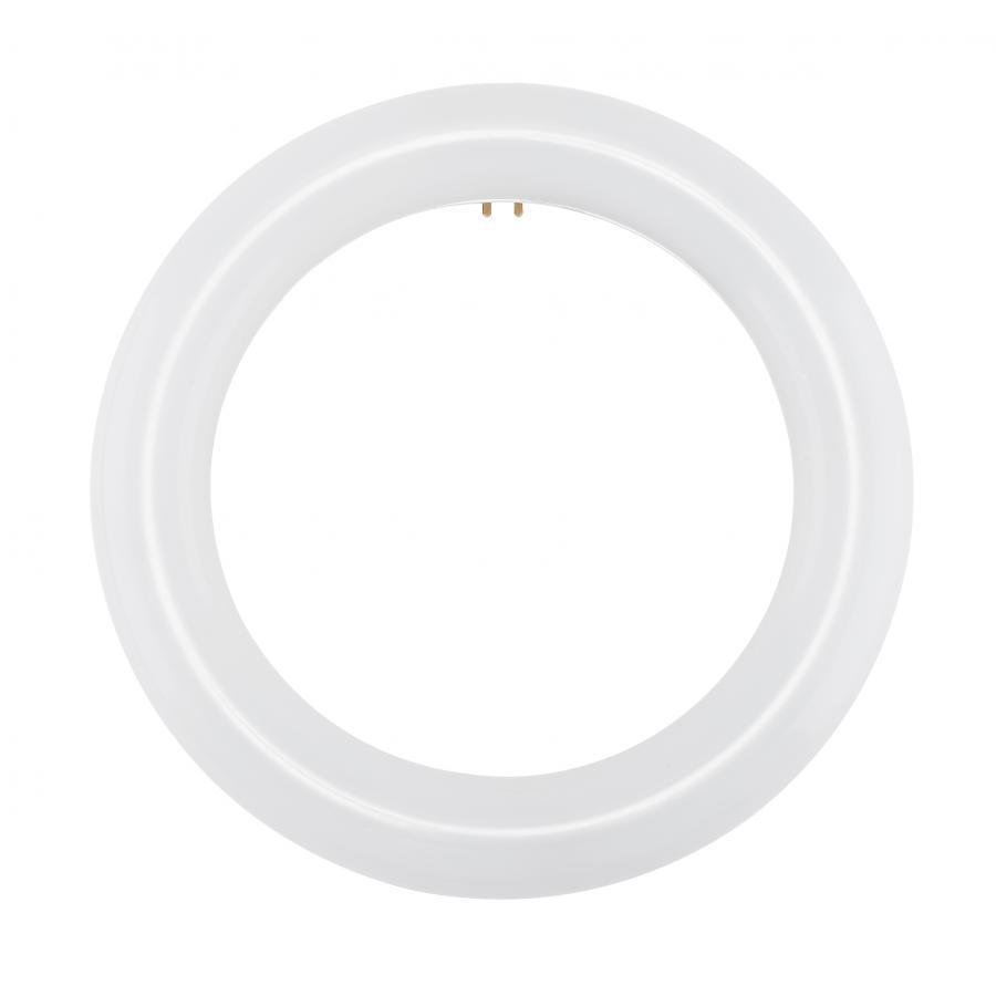 S16501 - LED Circline - 11 Watt - T9 - 4000K - G10Q Base - 120-277 Volt - Type B - Ballast Bypass