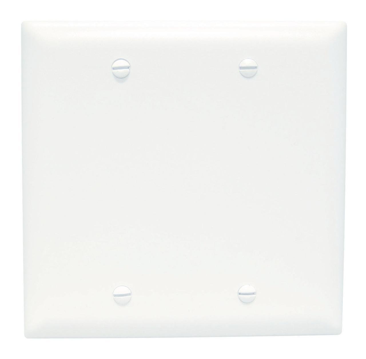 TP23-W - TradeMaster® 2-Gang Nylon Wall Plate, Blank, Box Mounted, White