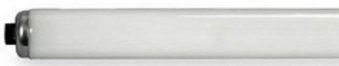 23075 - F60T12/CWHO 15PK