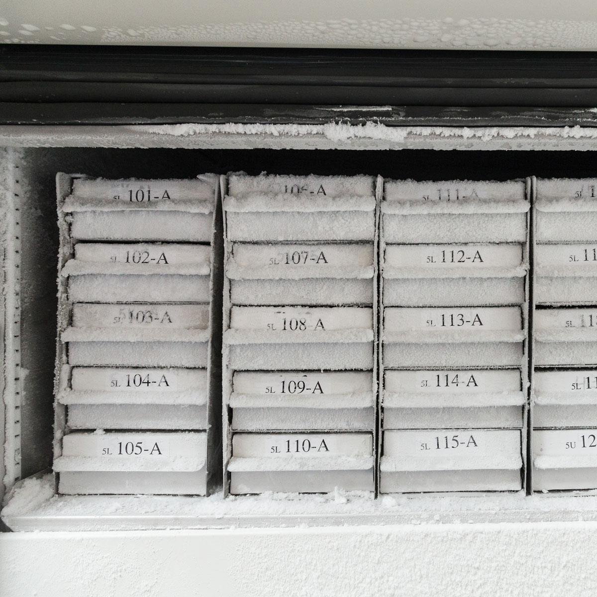 Picture of M21-750-499 - BMP21 Series Nylon Cloth Labels 0.75" W x 16' L