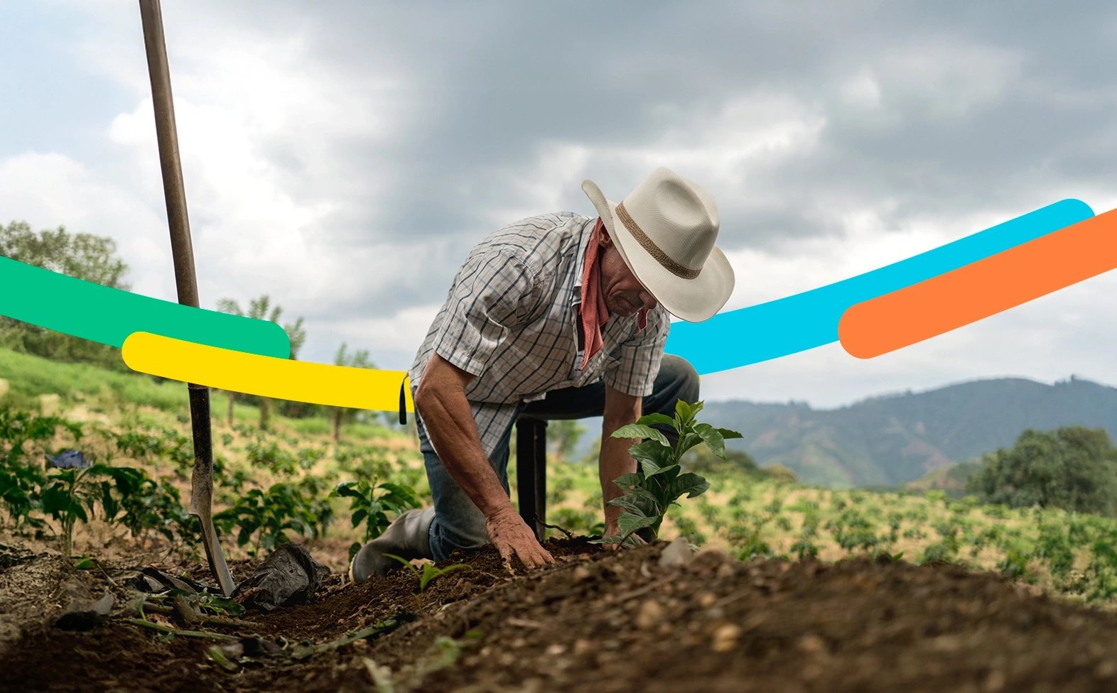 Hombre trabajando con sus manos en su cultivo, que ha impulsado gracias al fondo agropecuario de garantías.