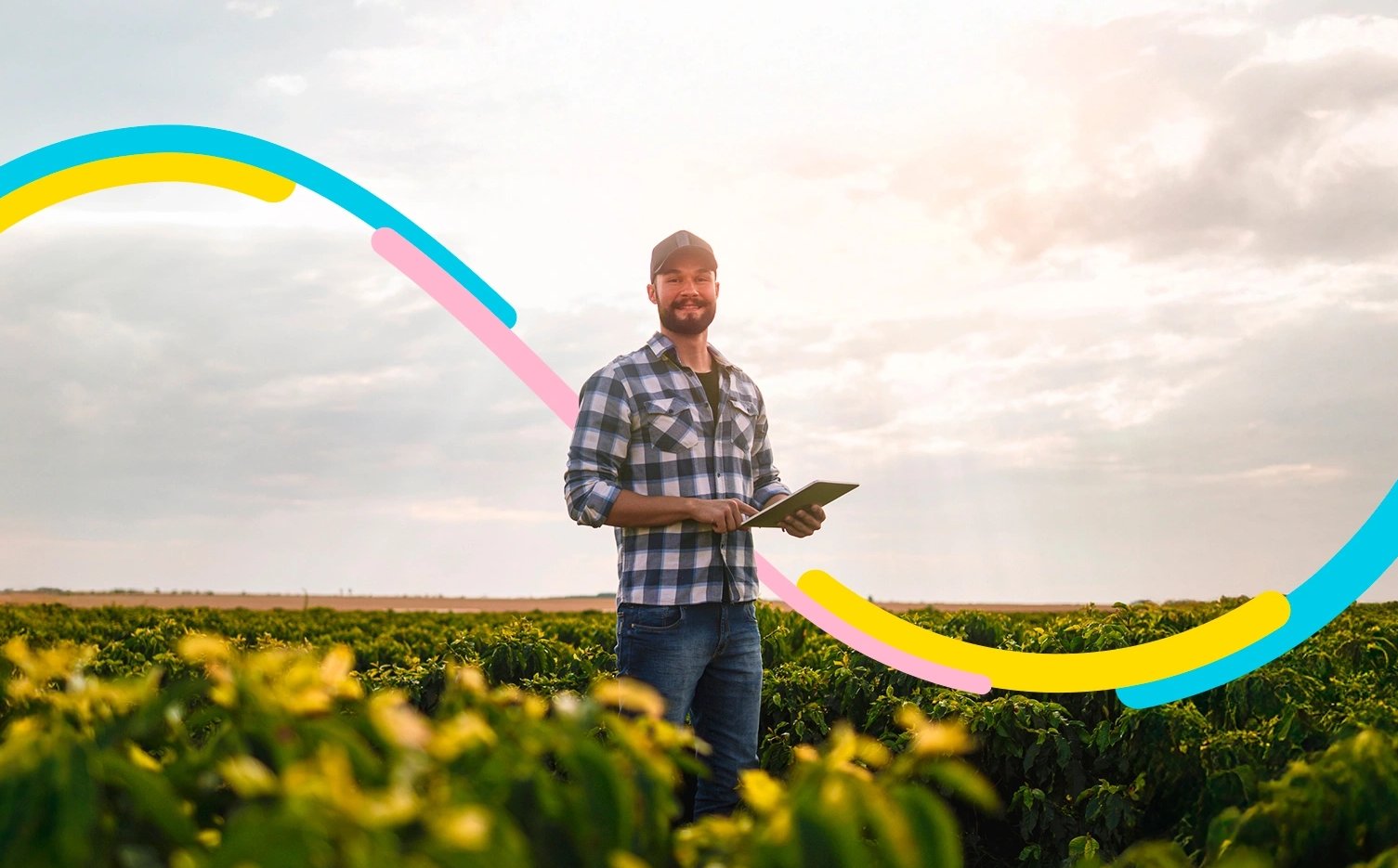 Hombre en medio de su cultivo, revisa su negocio apoyado en el crédito agro sostenible.
