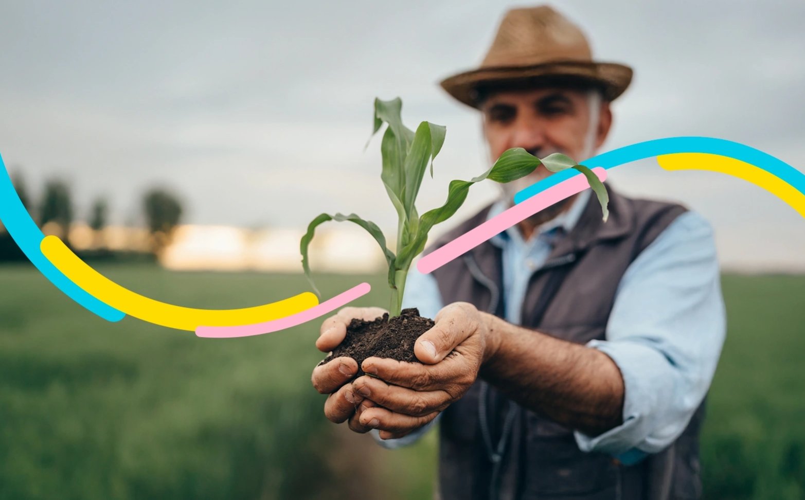 Hombre en su cultivo, trabaja en su cosecha apoyada con el crédito agrofácil.