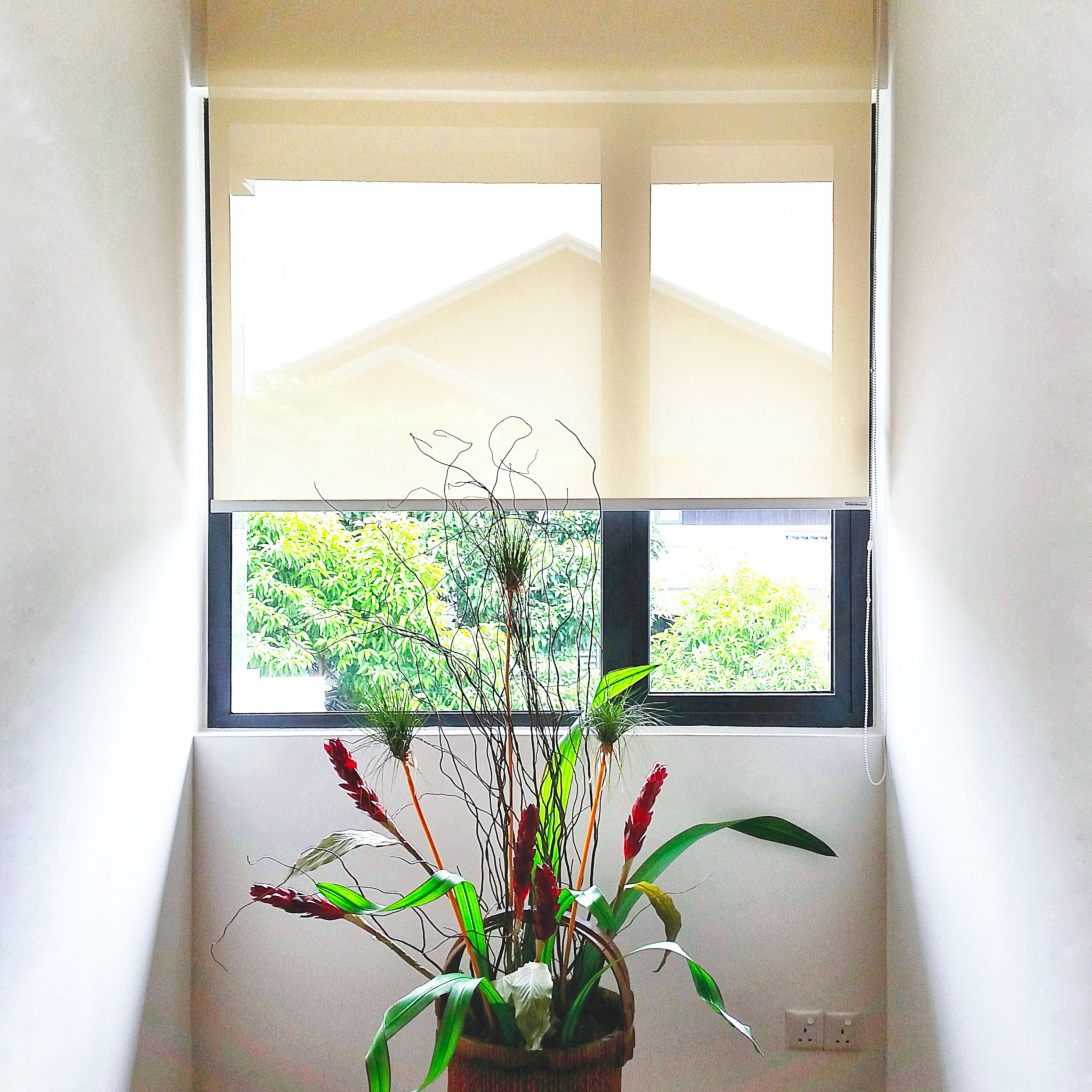 Beige solar screen shade in window