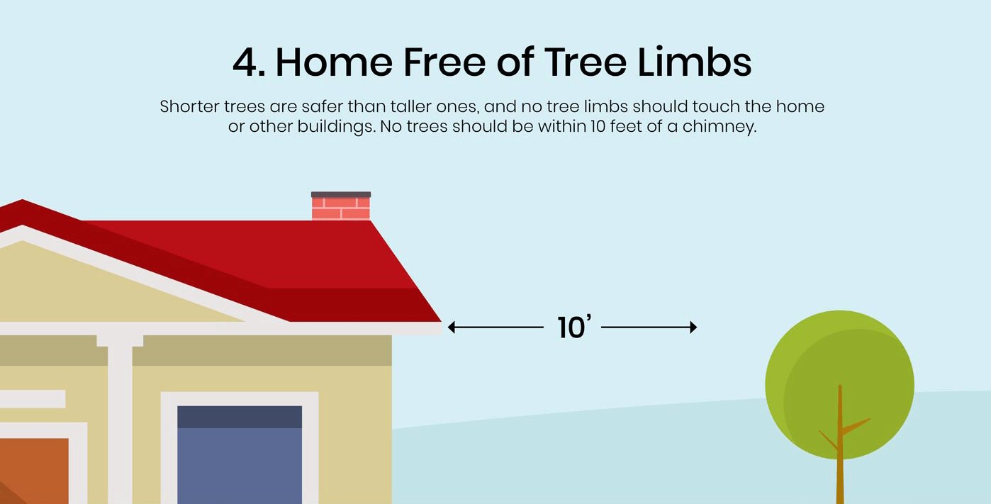 Home free of tree limbs shorter trees are safer than taller ones