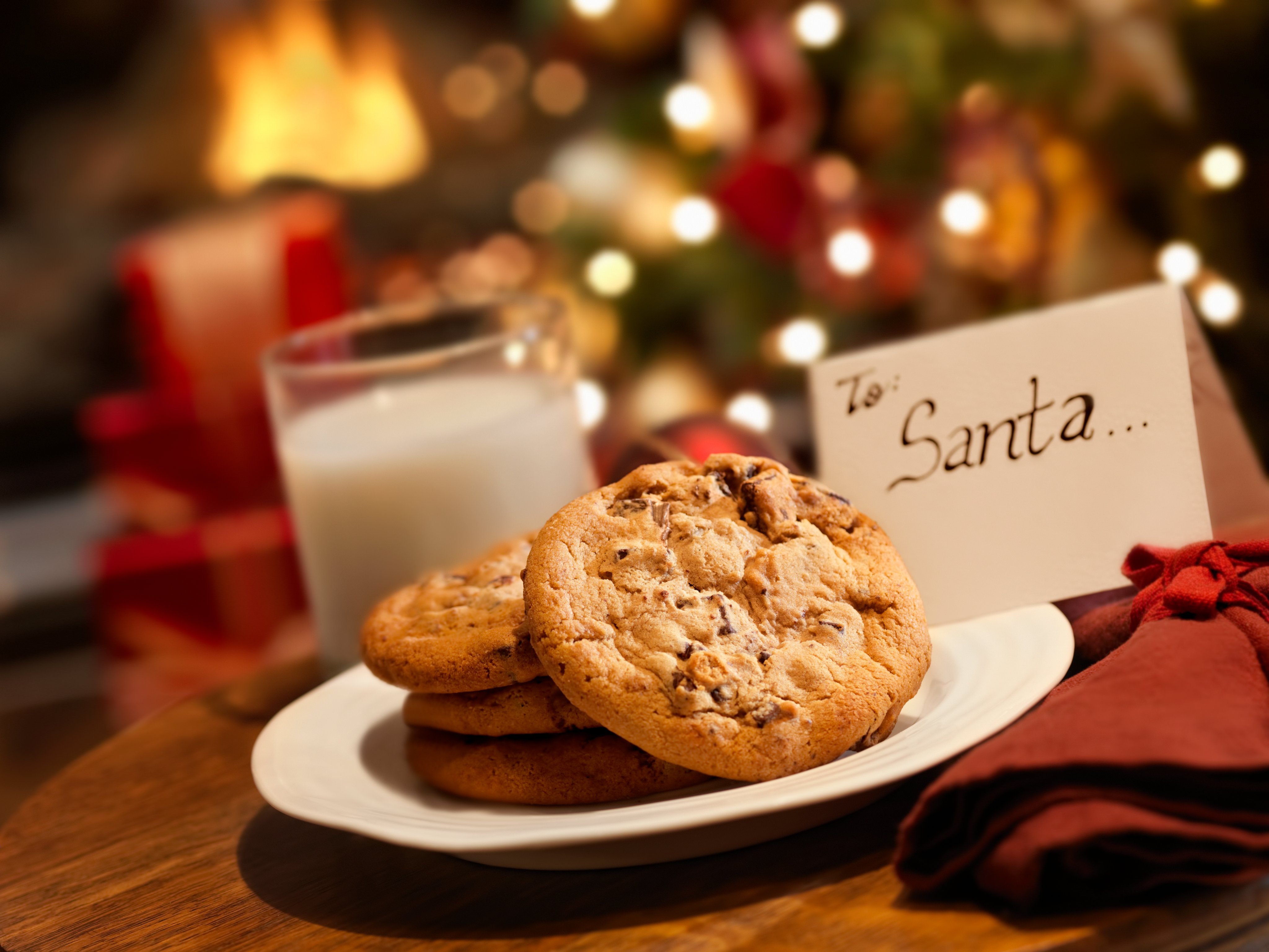Cookies and Milk for Santa