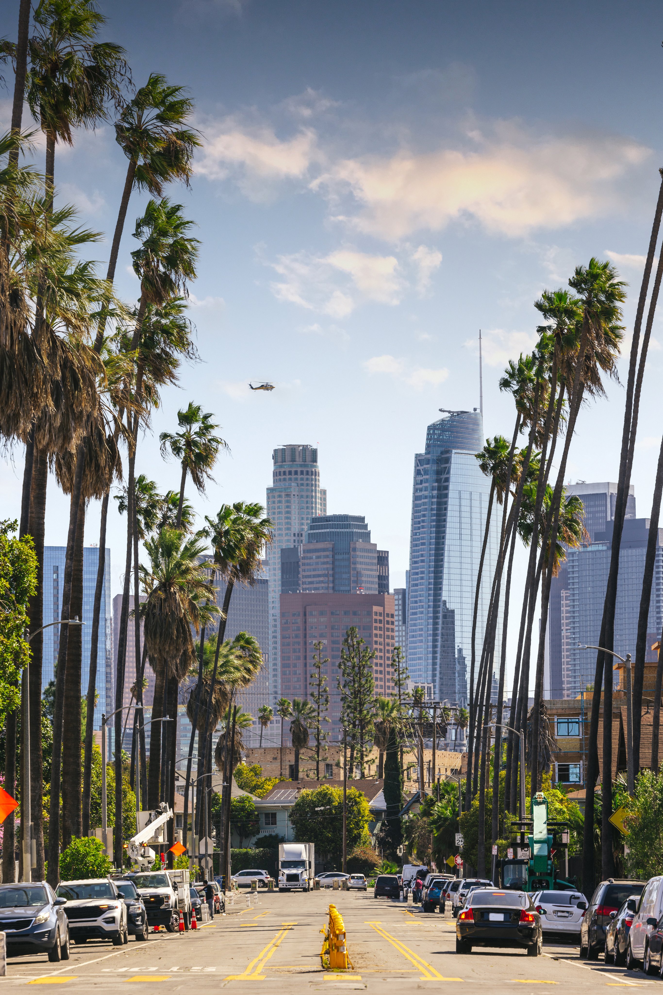 Downtown LA though the palm trees
