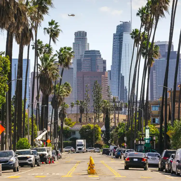 Downtown LA though the palm trees