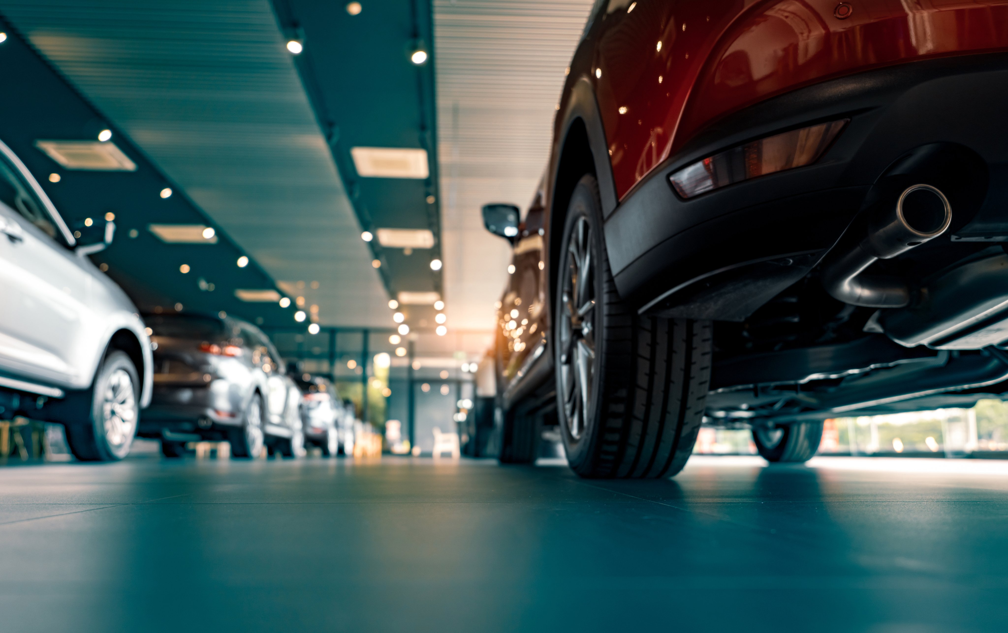 Rearview car parked in luxury showroom. Car dealership office. New car parked in modern showroom
