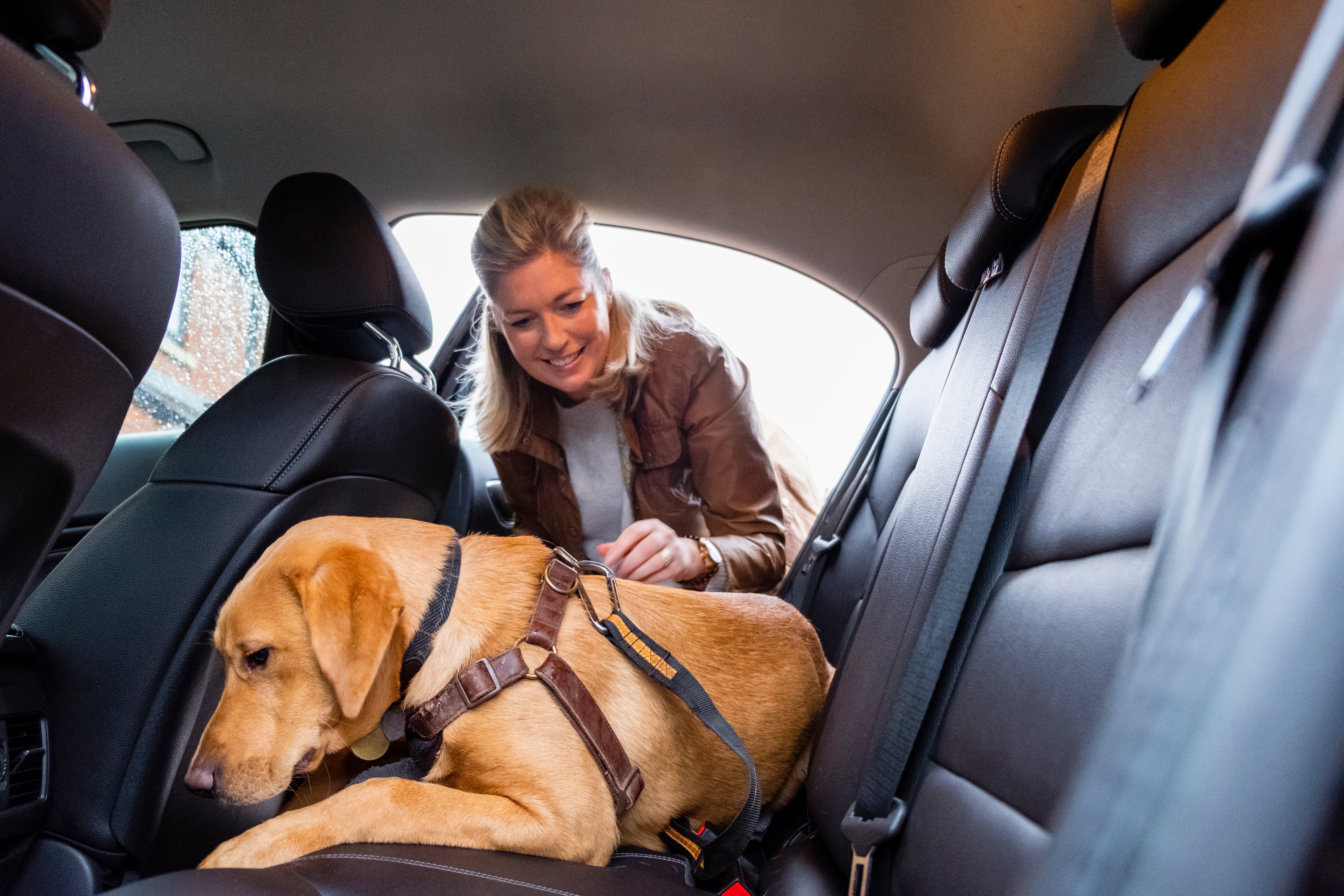Woman safely buckling dog in backseat