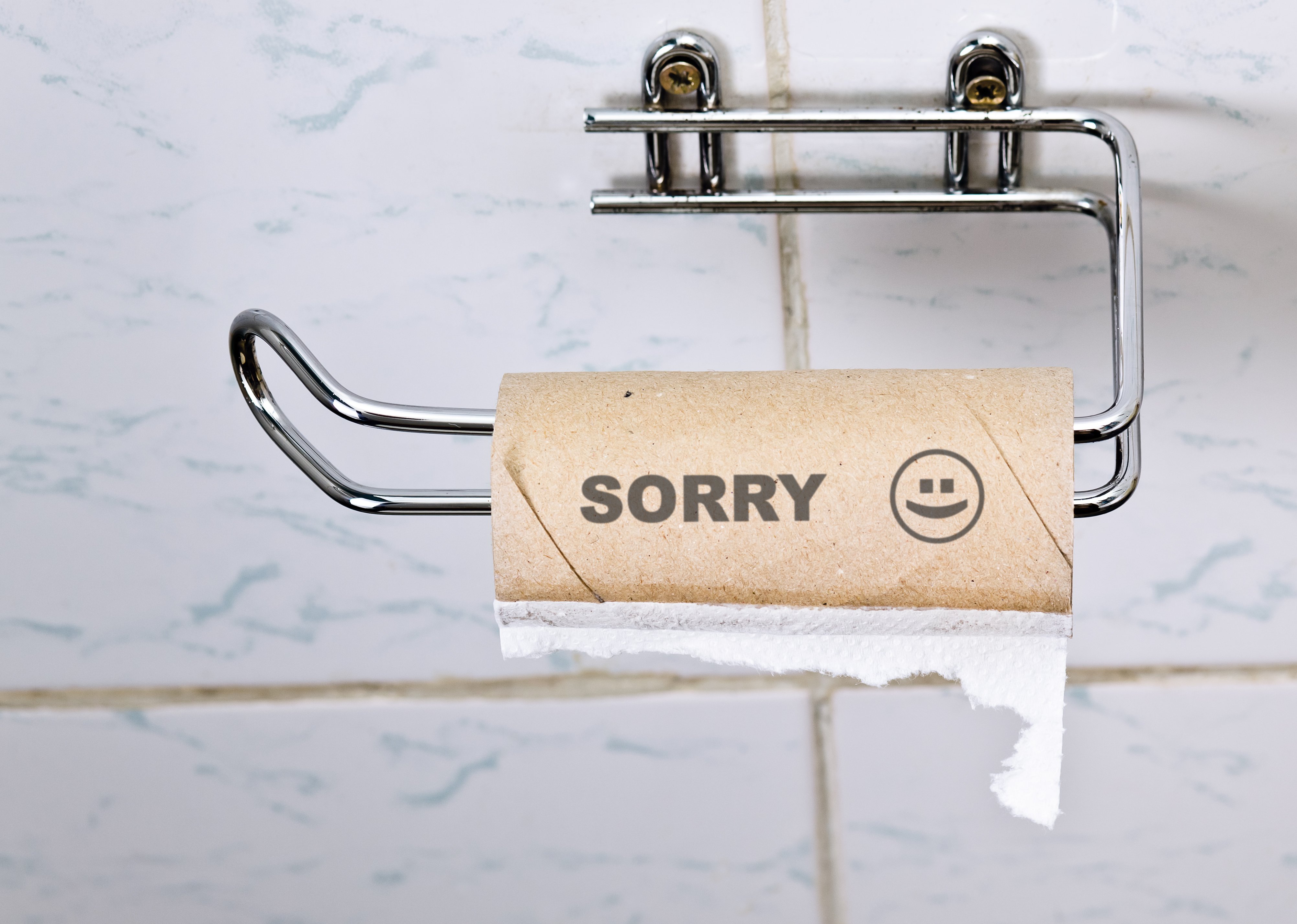 Empty toilet paper roll 