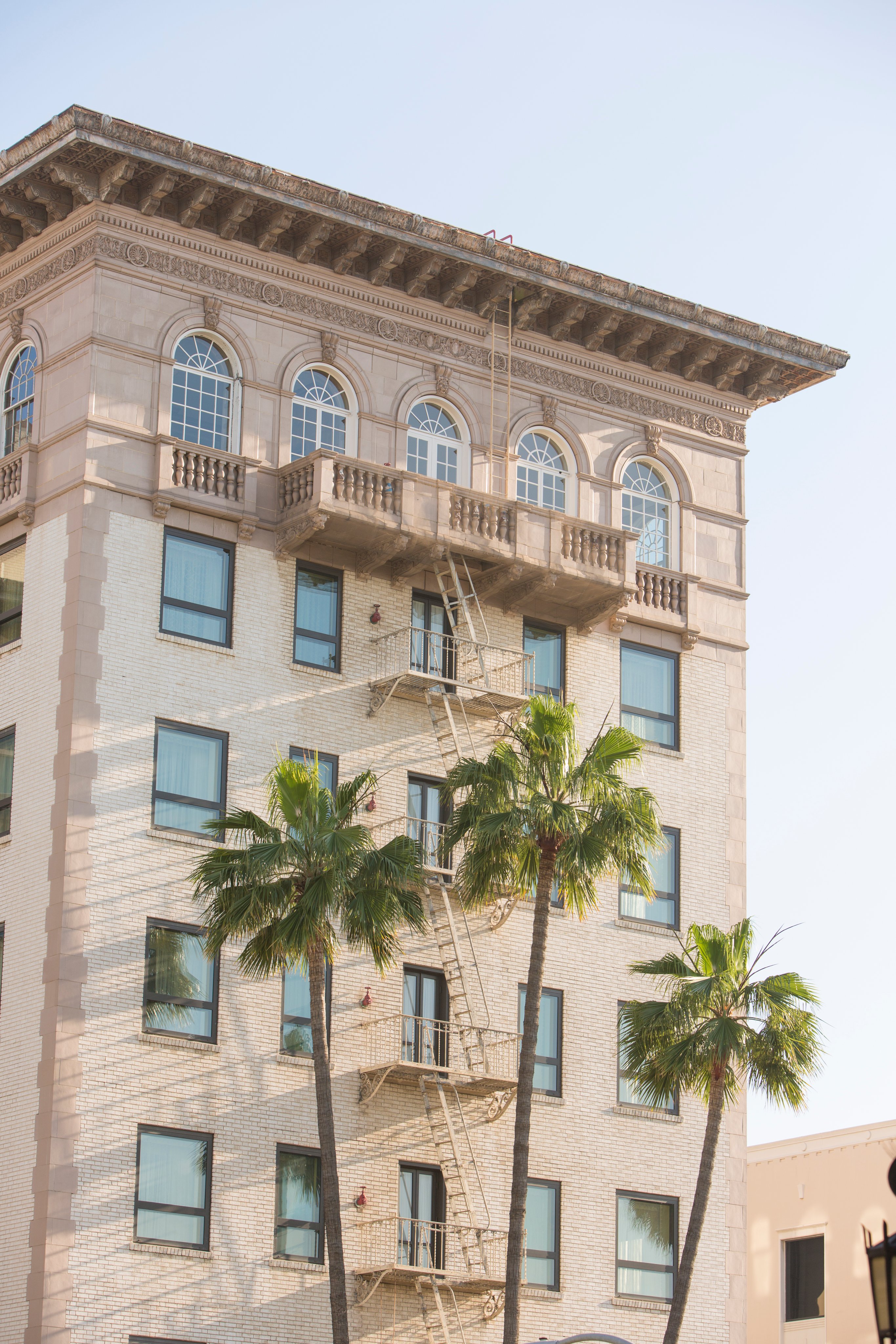 Palm trees and Los Angeles apartment building