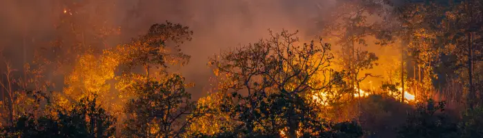 Wildfires release carbon dioxide emissions and other greenhouse gases