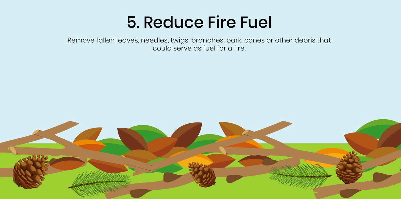 Reduce fire fuel remove fallen leaves, needles, twigs, branches, bark, cones or other debris that could serve as fuel for a fire