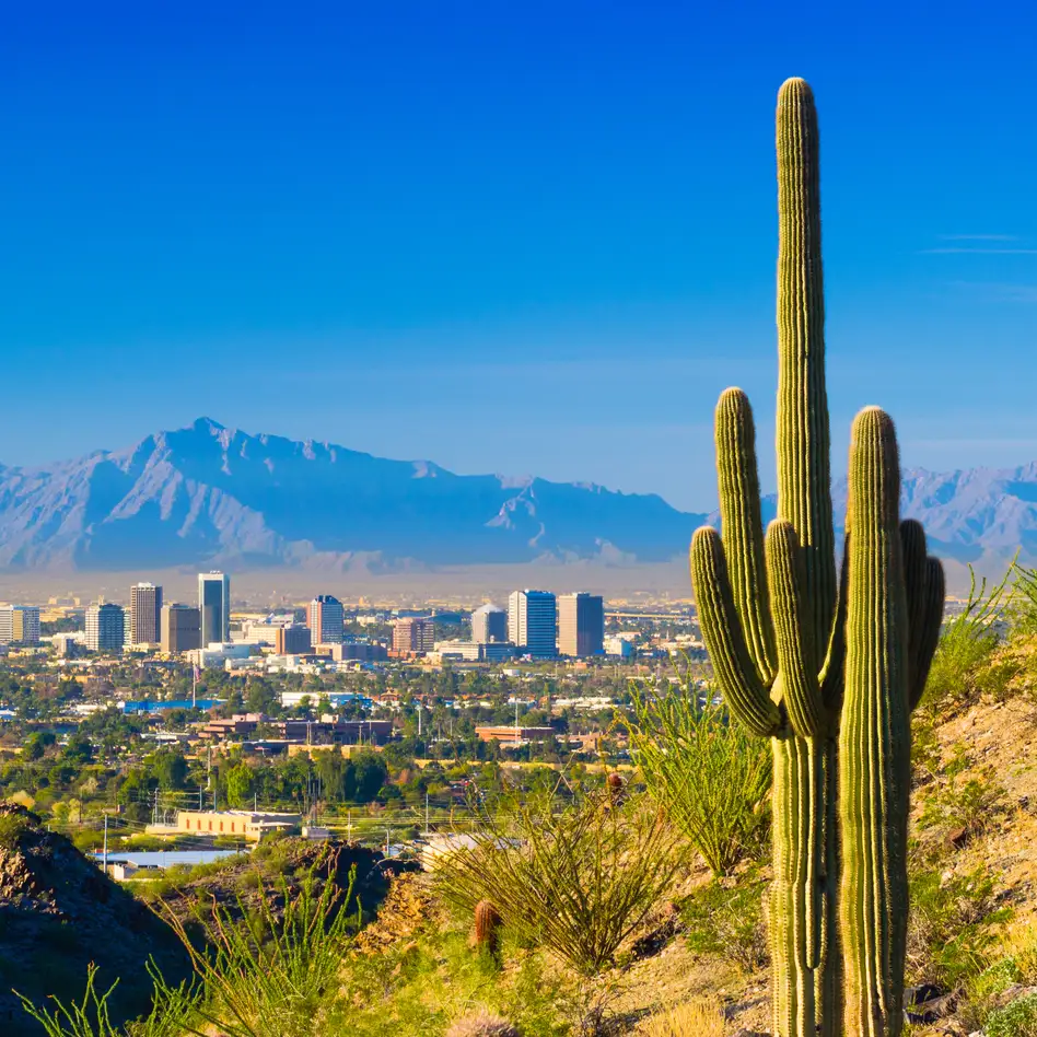 Phoenix midtown skyline with a Saguaro Cactus and other desert scenery in the foreground.