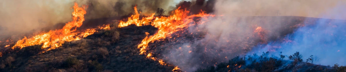 Bright orange flame and smoke in black gray and white while hillside burns during California Woolsey fire