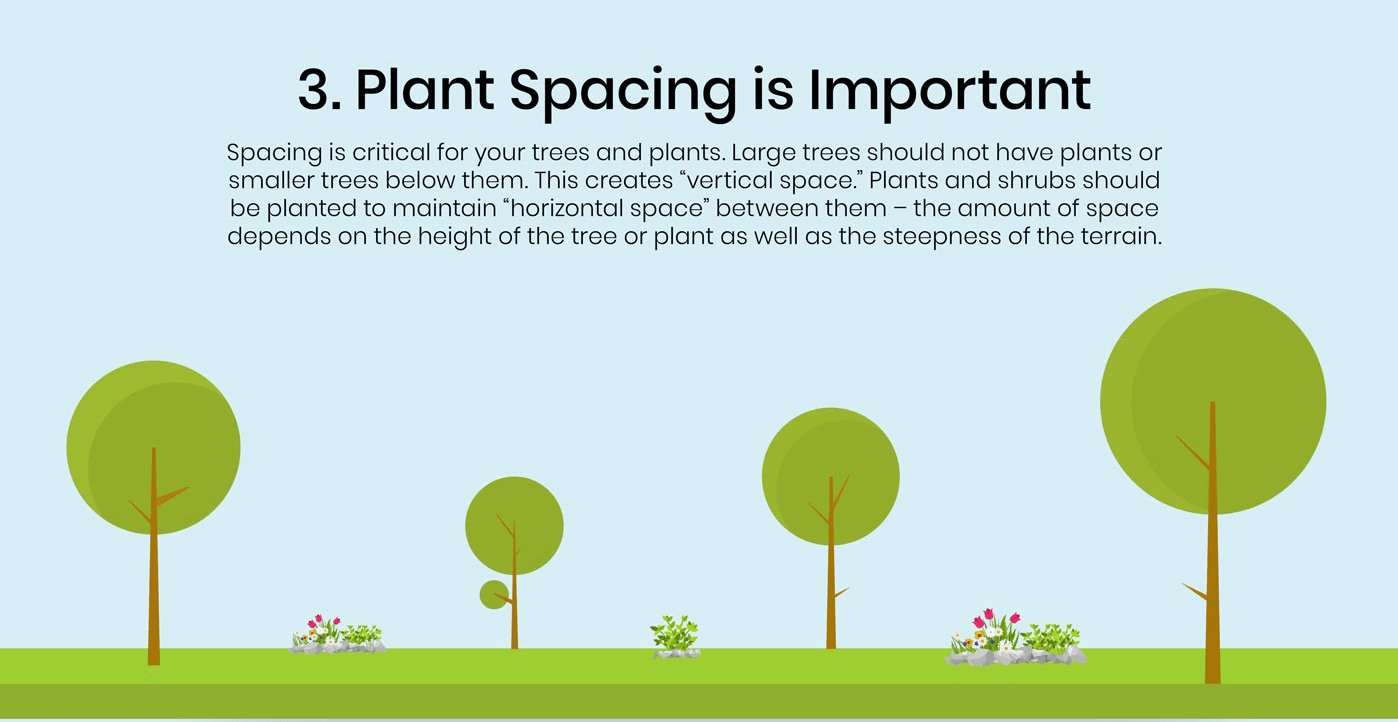 Plant spacing is important spacing is critical for your trees and plants