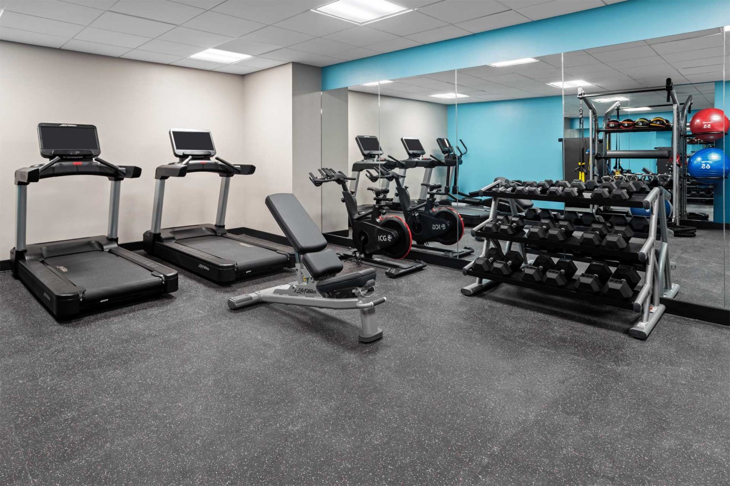 A modern gym with two treadmills, two stationary bikes, a weight bench, racks of dumbbells, and wall-mounted shelves holding medicine balls and kettlebells, with a large mirror and blue accent wall.