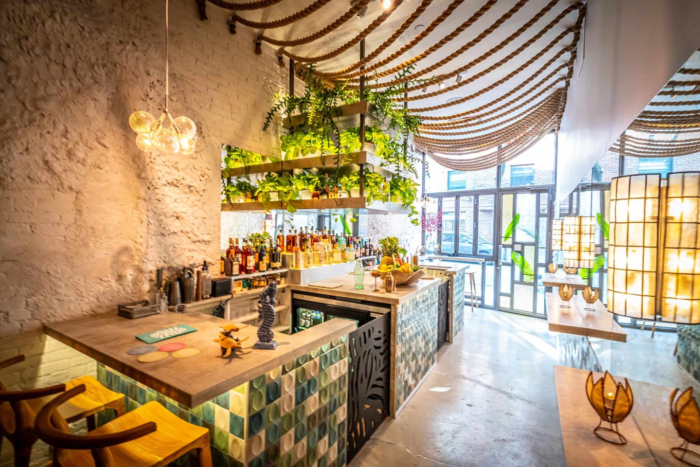 A bright, modern bar with hanging plants, bottles on shelves, green and blue tiled counters, rope decorations on the ceiling, and large windows letting in natural light.