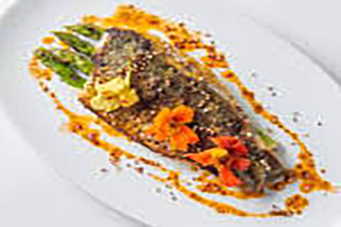 Barramundi_4BAB53F9-DAA3-4ED8-A1EB0558460CD18E_6d07da69-c183-45b2-bb70b64158ff78fe