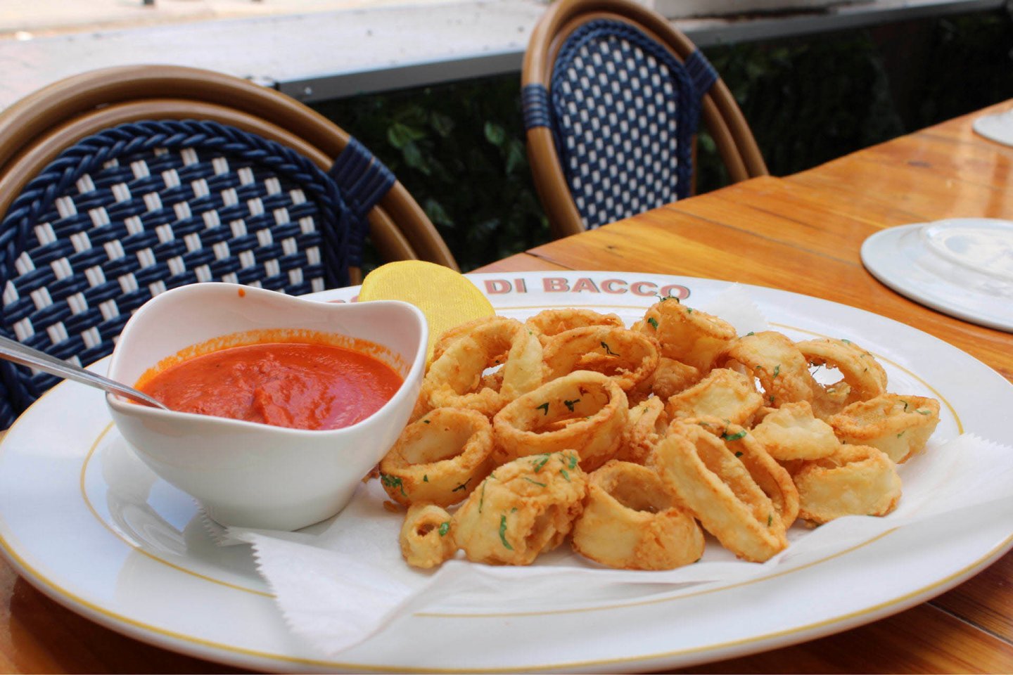 A plate of crispy fried calamari garnished with herbs, served with a side of red marinara sauce and a lemon wedge on a white plate with the label "DI BACCO." A wicker chair with a blue and white pattern is visible in the background.