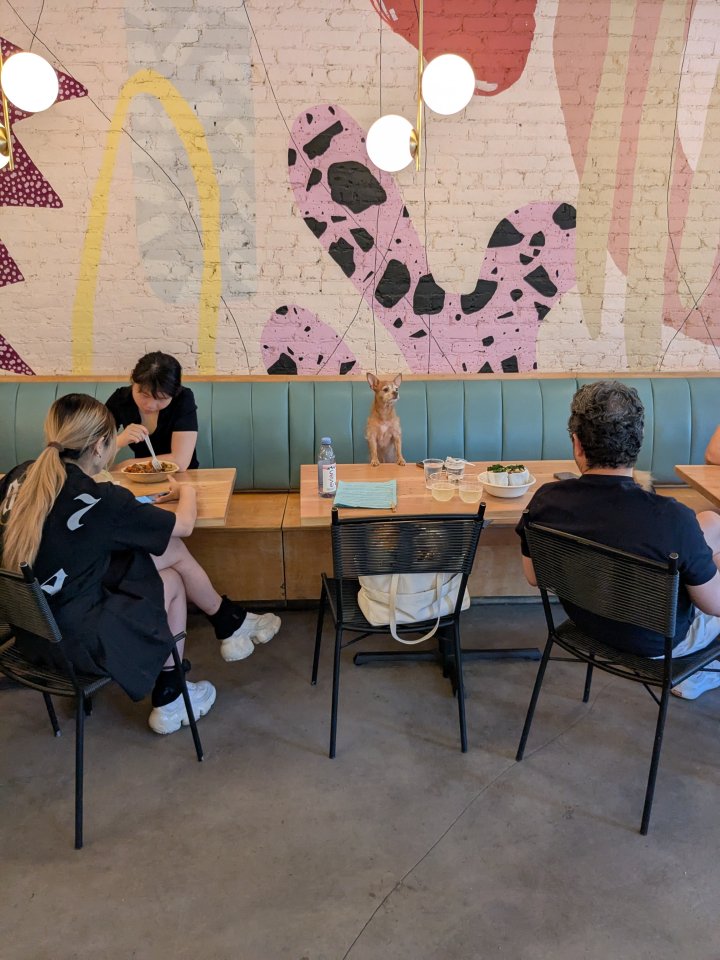 A dog sits at a table next to some humans eating and drinking