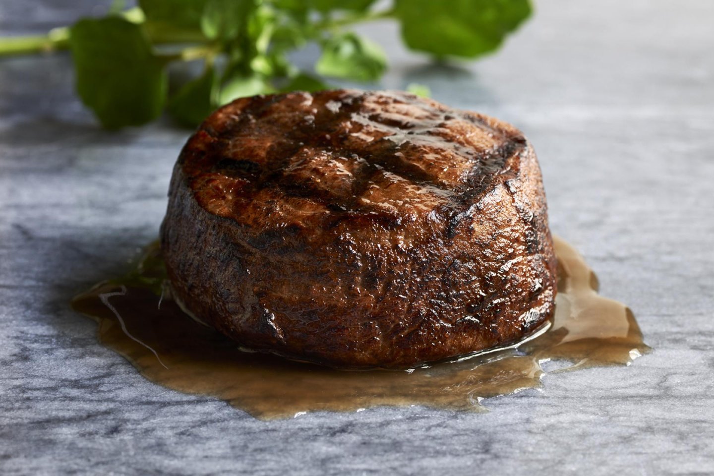 Morton's The Steakhouse