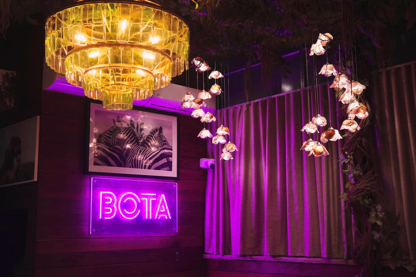 A cozy room with a gold chandelier and hanging pendant lights. A neon sign reading "BOTA" glows in purple on a wooden wall. Framed artwork and closed curtains are visible in the background.