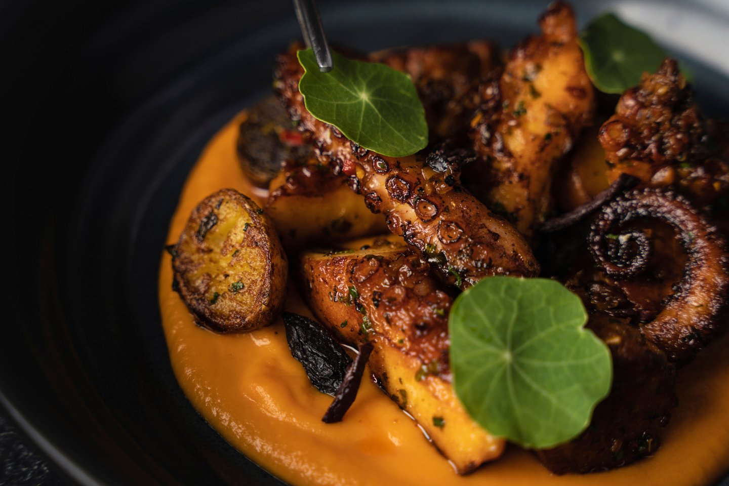 Food from One Dine