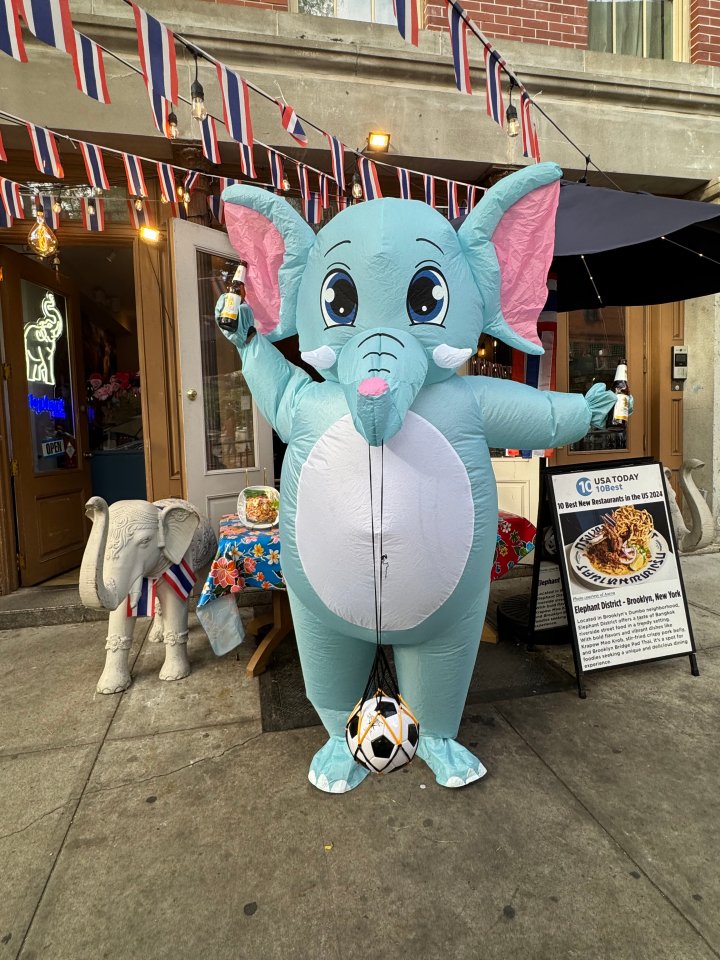 FIFA World Cup 2026 at Elephant District Dumbo
