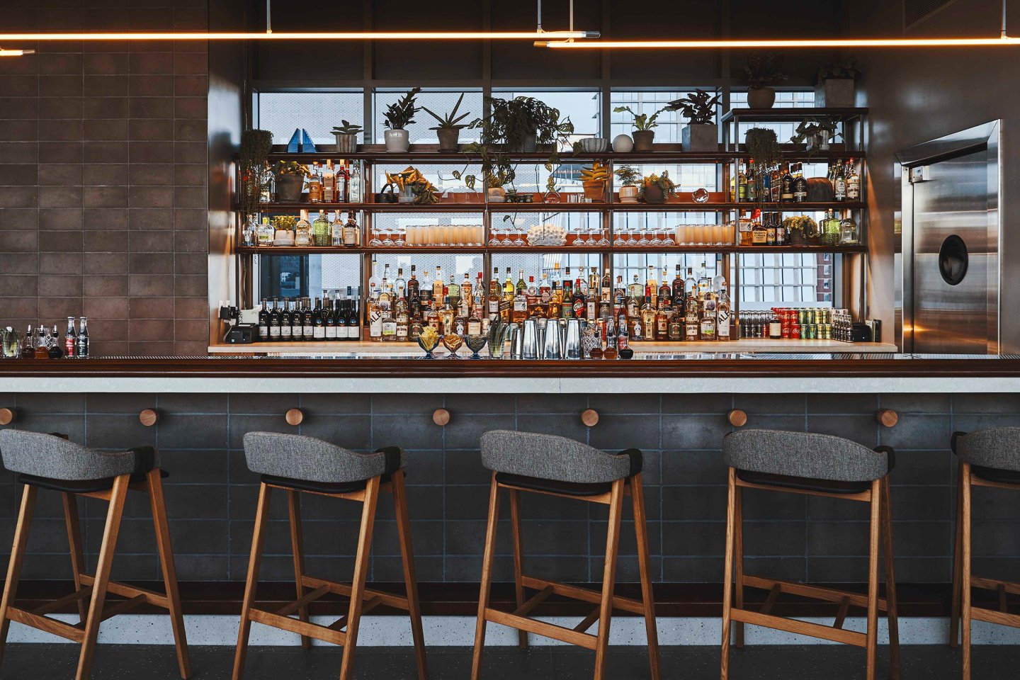bar, interior