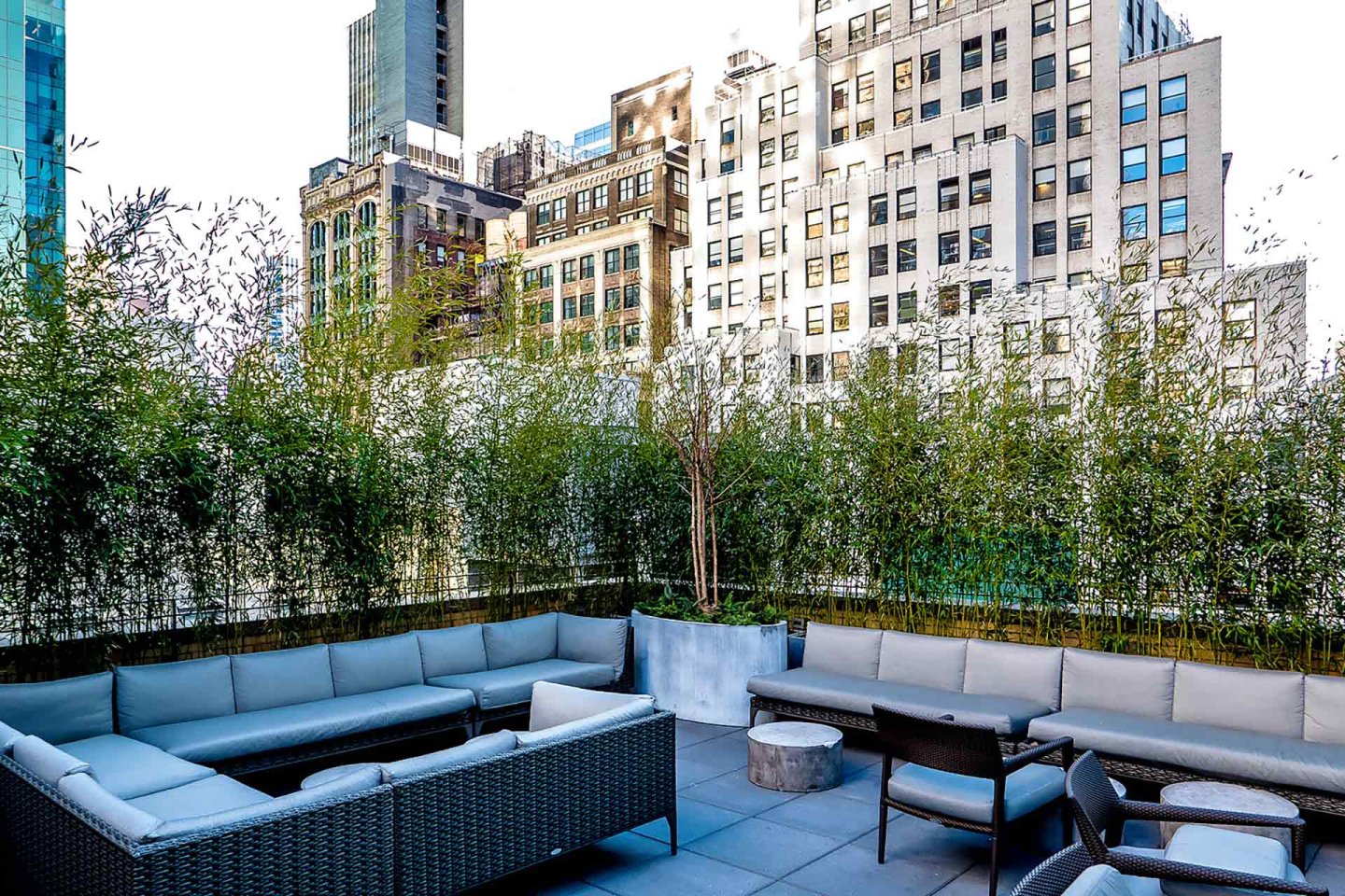 Rooftop patio with modern outdoor sofas and chairs, surrounded by tall green plants and overlooking tall city buildings in the background, under clear daylight.