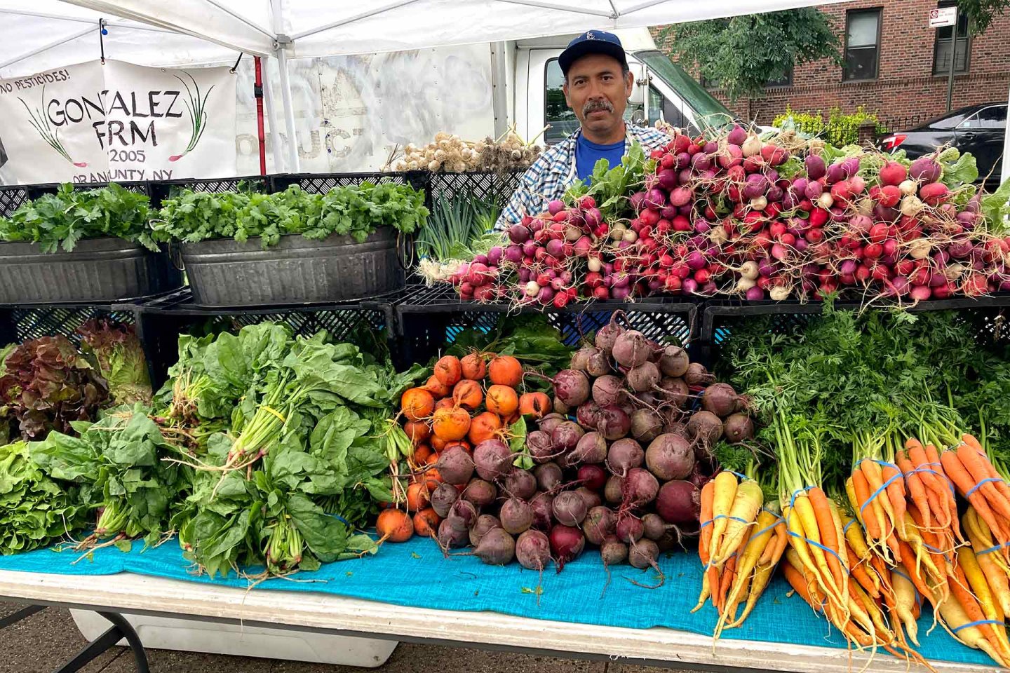 A vendor stands behind a market stall displaying fresh vegetables, including leafy greens, bunches of carrots, beets, radishes, and cilantro, with a “Gonzalez Farm” sign in the background.
