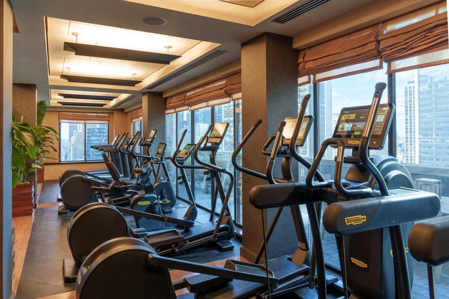 A modern gym with large windows featuring several elliptical machines and treadmills lined up.