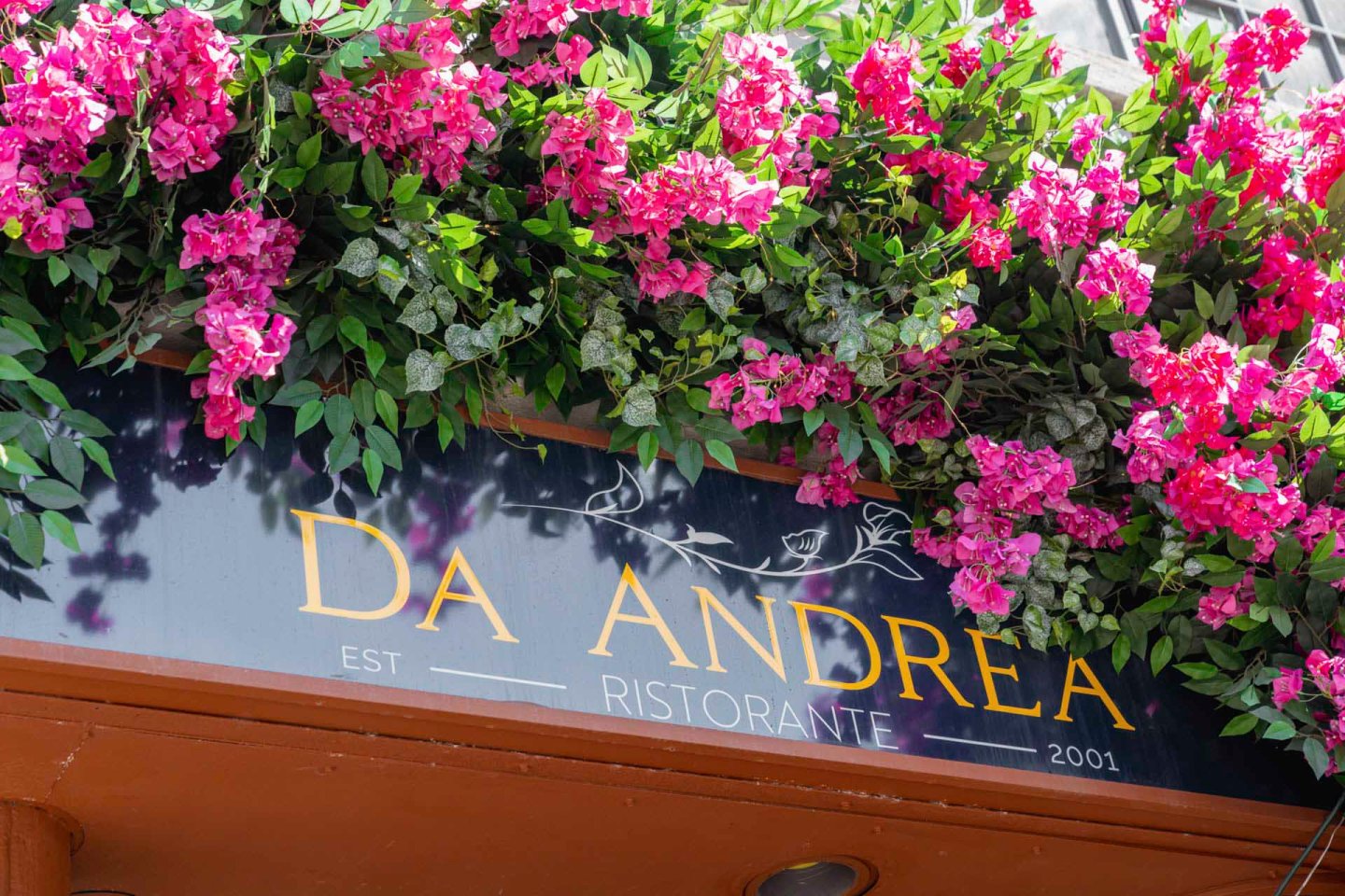 The image shows a restaurant sign for "Da Andrea Ristorante" with vibrant pink flowers cascading above it. The sign mentions the restaurant was established in 2001.