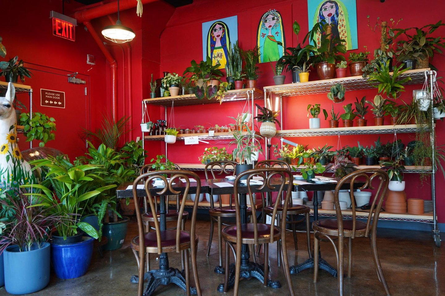 Interior of Mae Mae Cafe & Plant Shop
