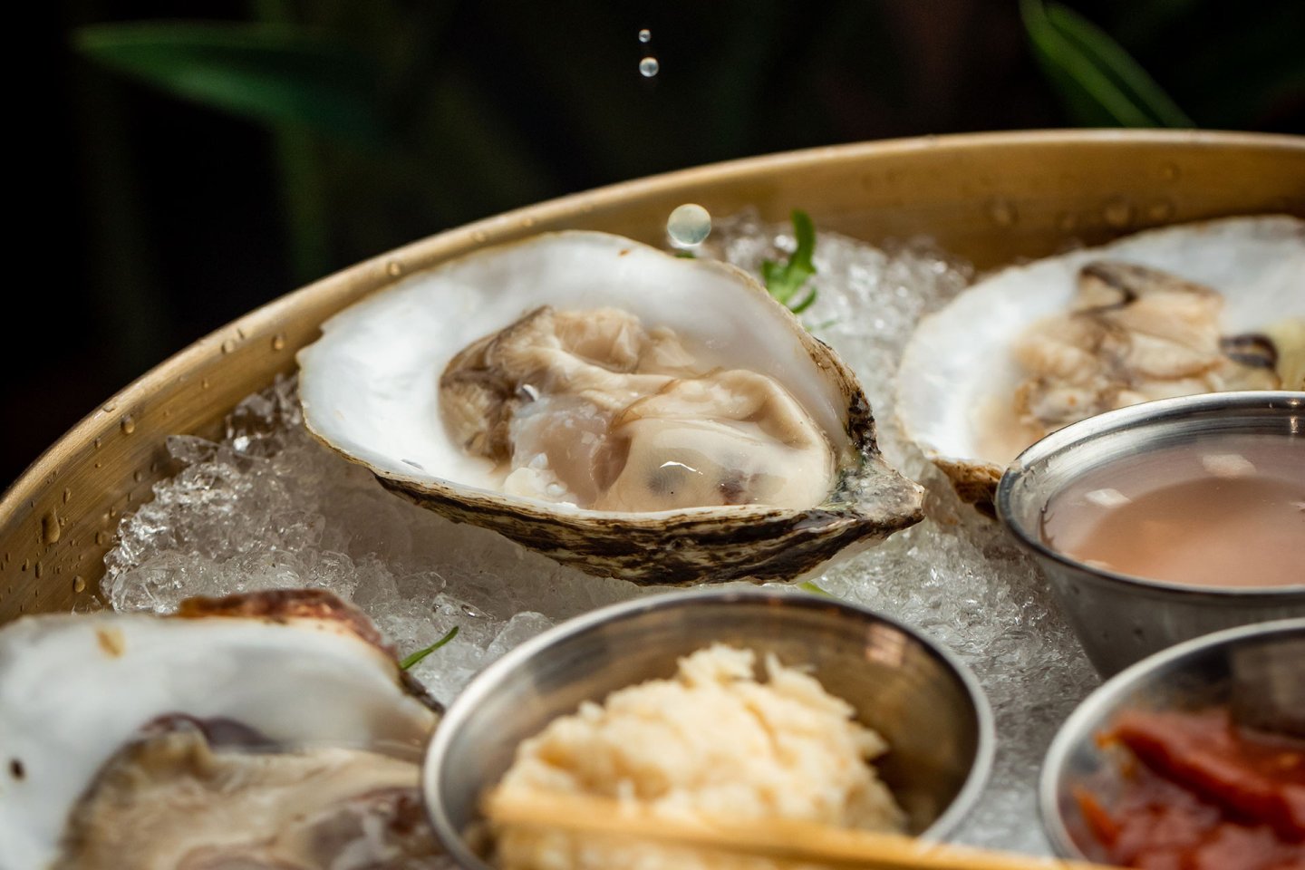 A close-up of fresh oysters on the half shell served on a bed of ice, with a water droplet falling onto one oyster. Small metal bowls of condiments and sauce are nearby.