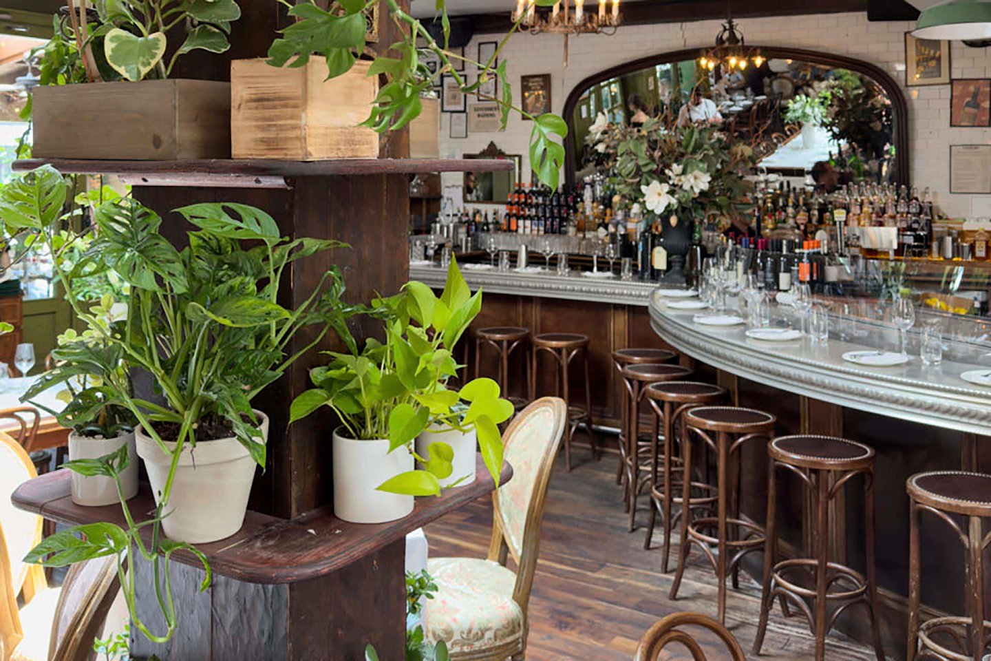 Chic bar interior with wooden stools around a curved bar counter. The bar is adorned with decorative plants and glassware, under soft lighting. Shelves hold potted plants, adding a touch of greenery to the cozy atmosphere.