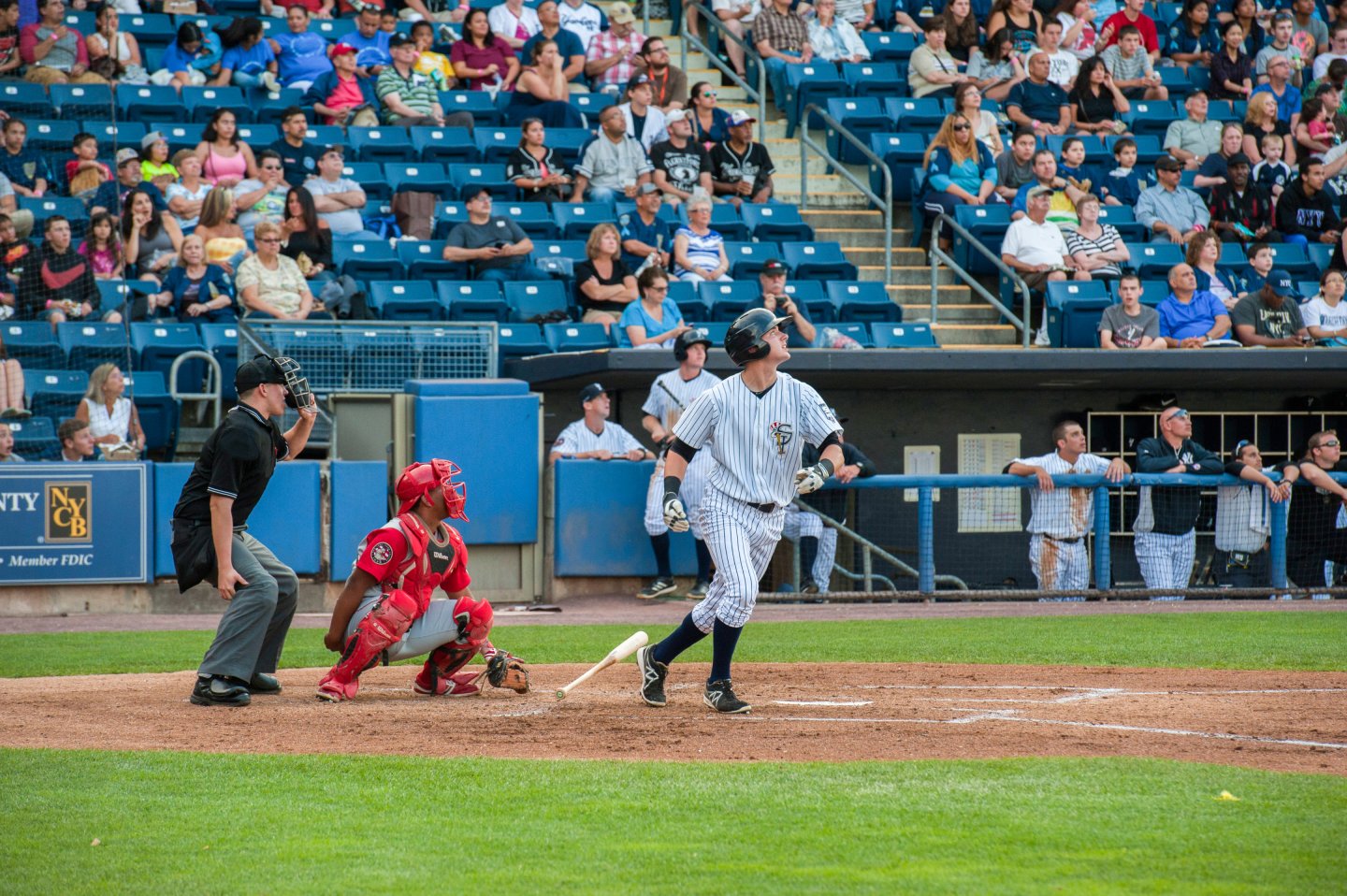 Staten Island Yankees