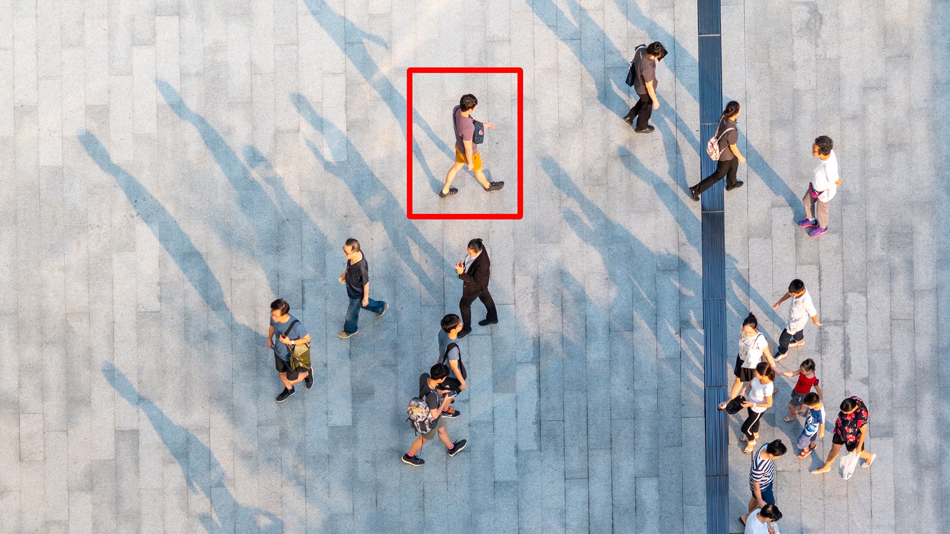 Octave-CodaVideoAnalytics-Ressource 5-1920x1080_268770979_edit