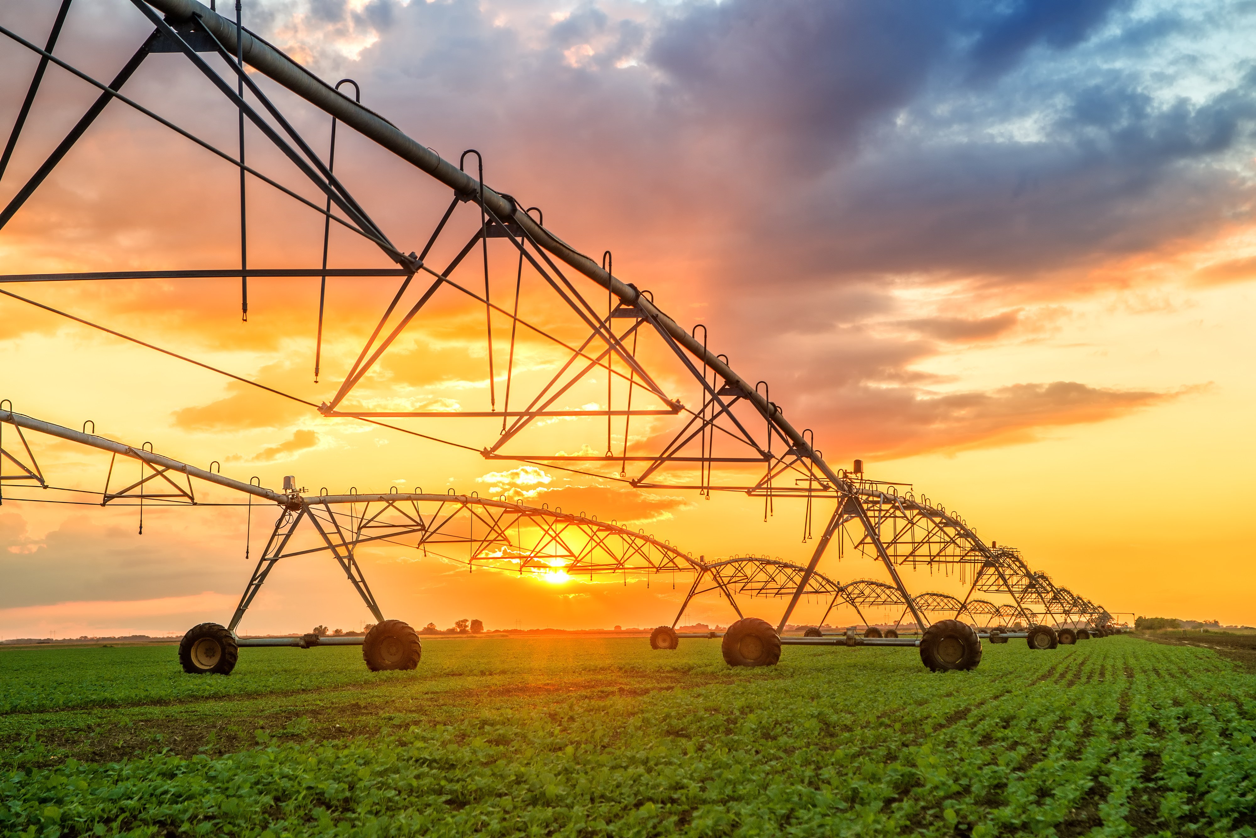 Automated farming irrigation sprinklers system on cultivated agricultural landscape field in sunset