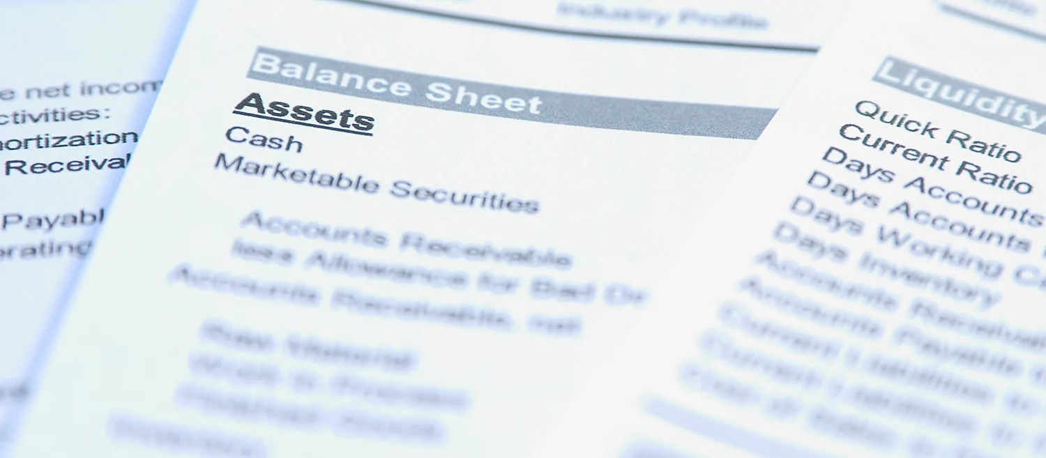 Financial documents with focus on a word "Assets. Very easy to shift colours.