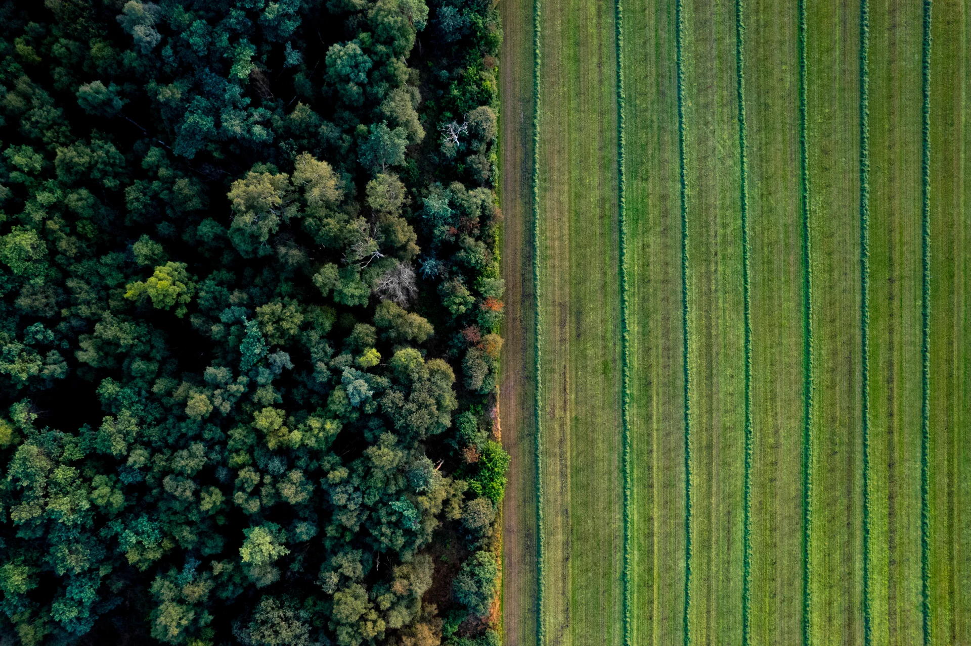 AdobeStock_450765857