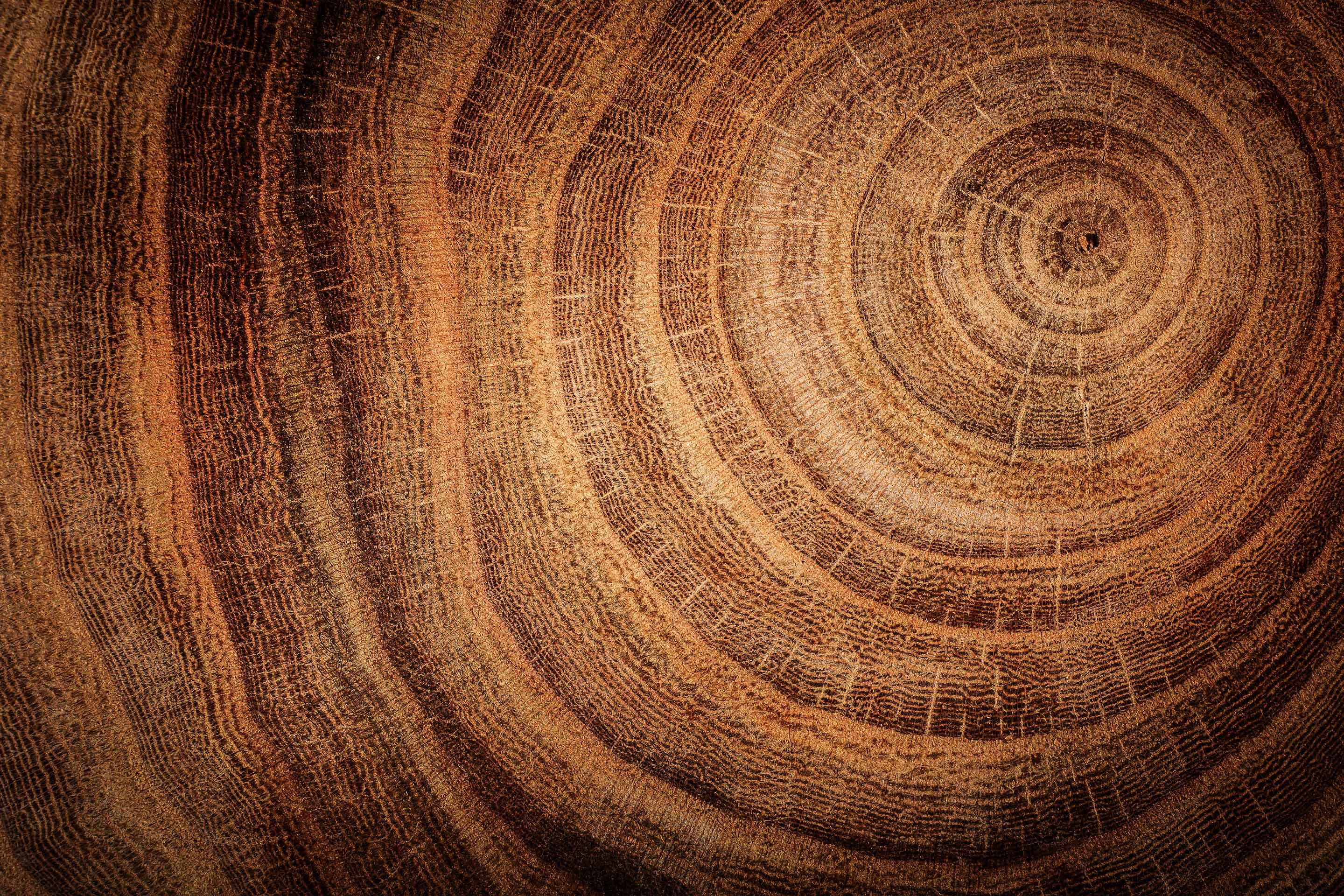 Investment_Returns_tree_rings